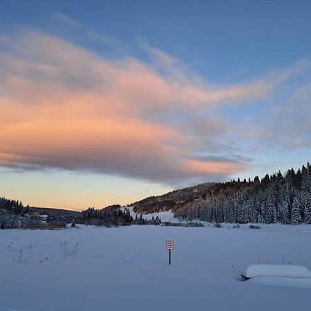 Au Coeur Du Lapidaire Septmoncel-Les-Molunes Exteriör bild