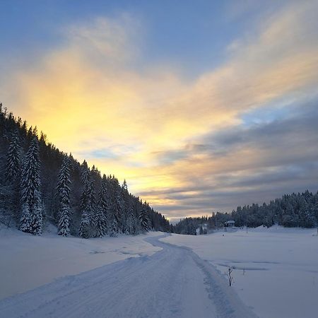Au Coeur Du Lapidaire Septmoncel-Les-Molunes Exteriör bild