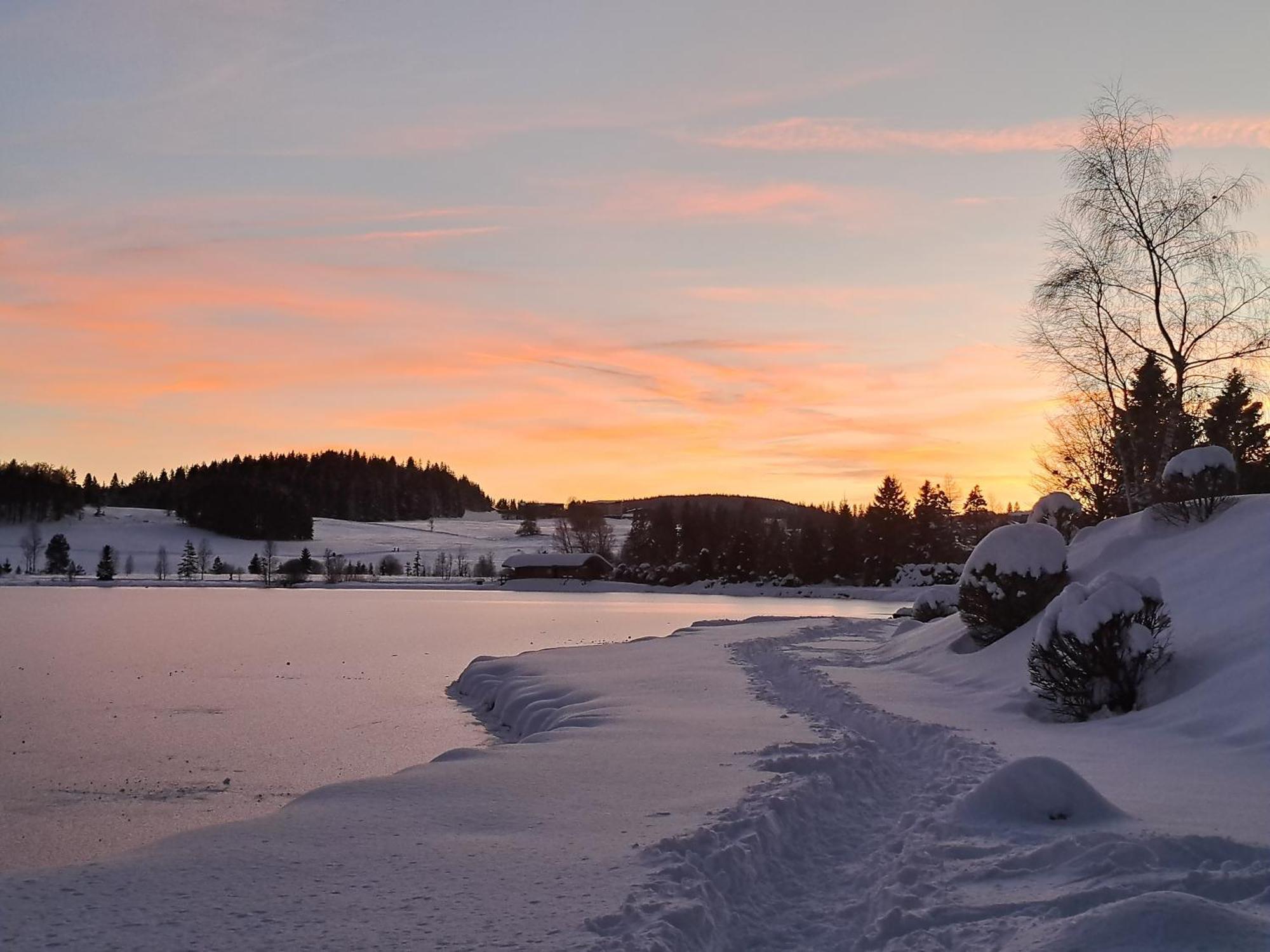 Au Coeur Du Lapidaire Septmoncel-Les-Molunes Exteriör bild
