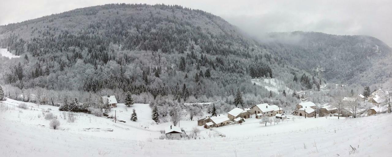 Au Coeur Du Lapidaire Septmoncel-Les-Molunes Exteriör bild