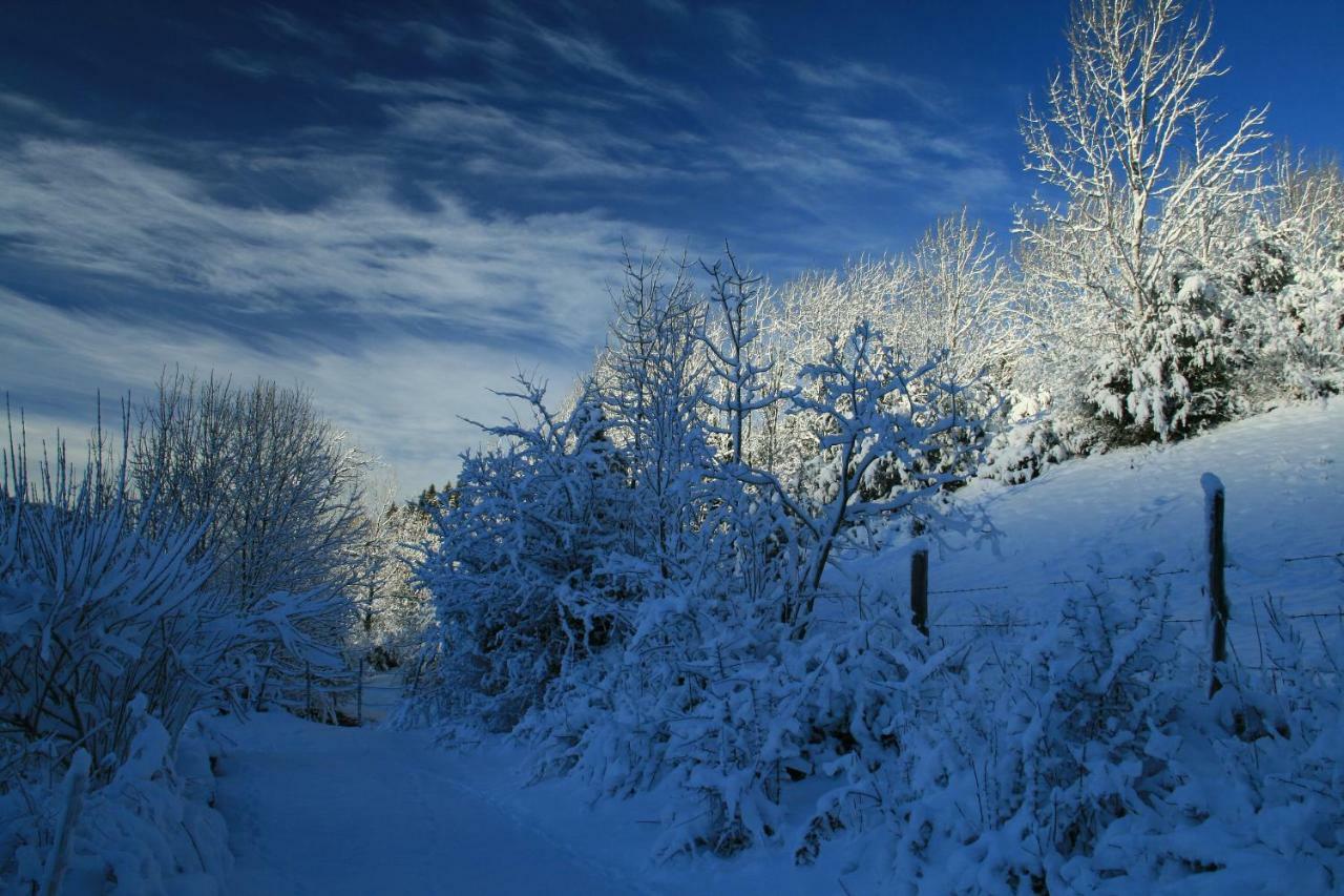 Au Coeur Du Lapidaire Septmoncel-Les-Molunes Exteriör bild