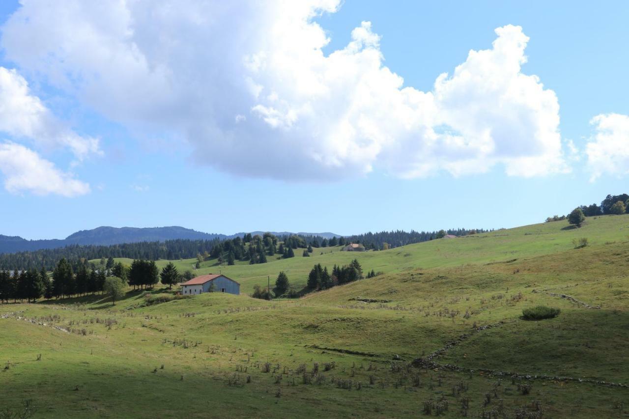 Au Coeur Du Lapidaire Septmoncel-Les-Molunes Exteriör bild