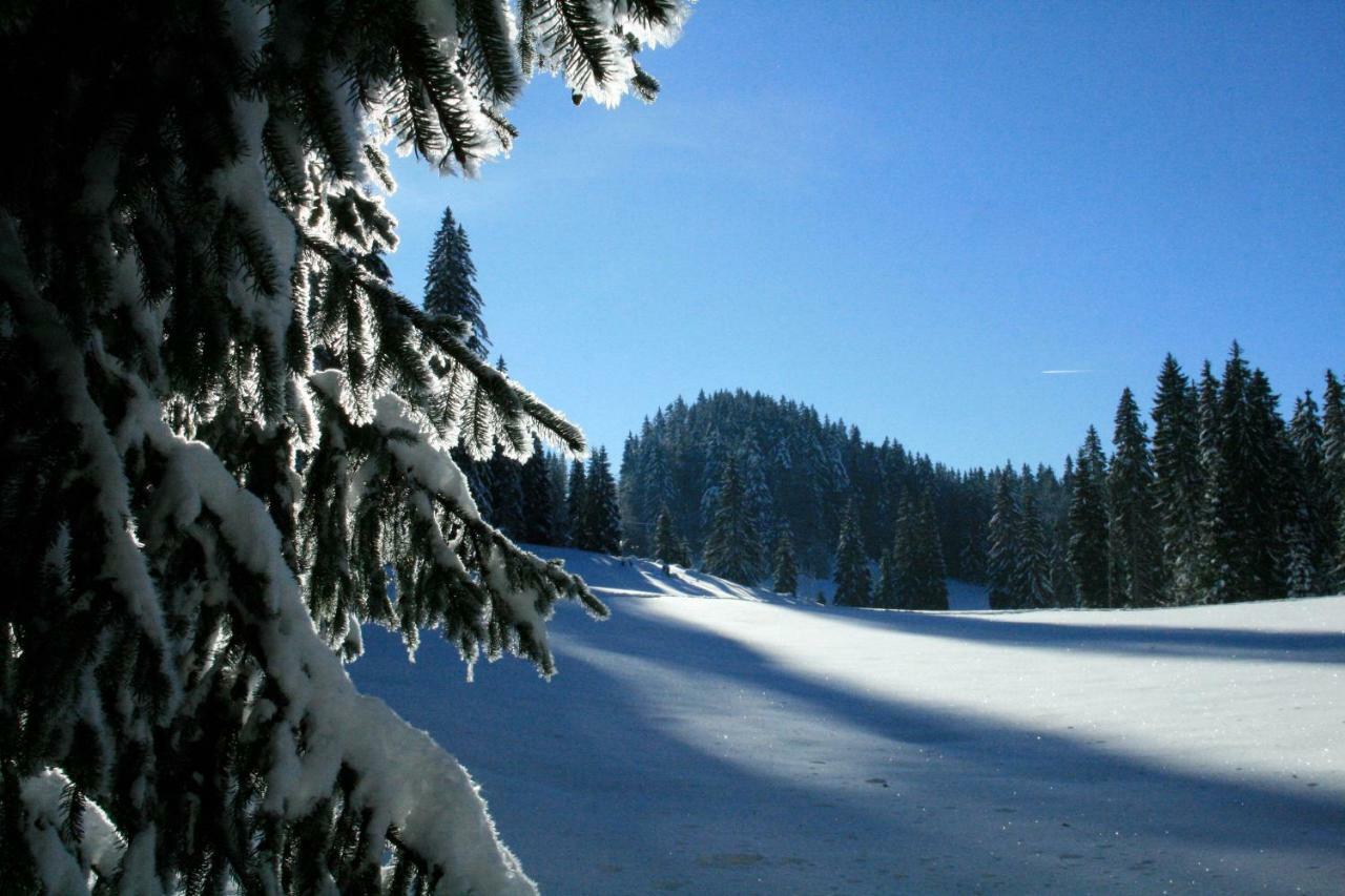 Au Coeur Du Lapidaire Septmoncel-Les-Molunes Exteriör bild