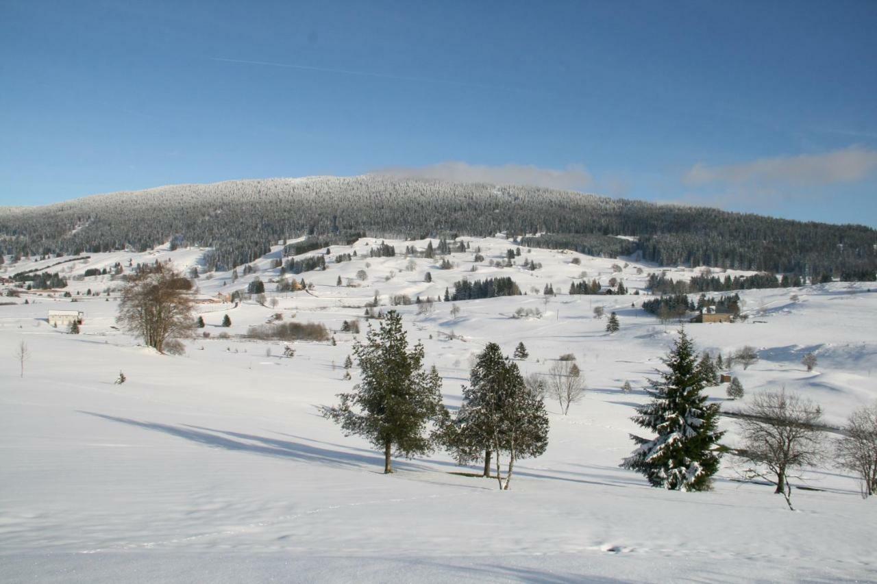 Au Coeur Du Lapidaire Septmoncel-Les-Molunes Exteriör bild