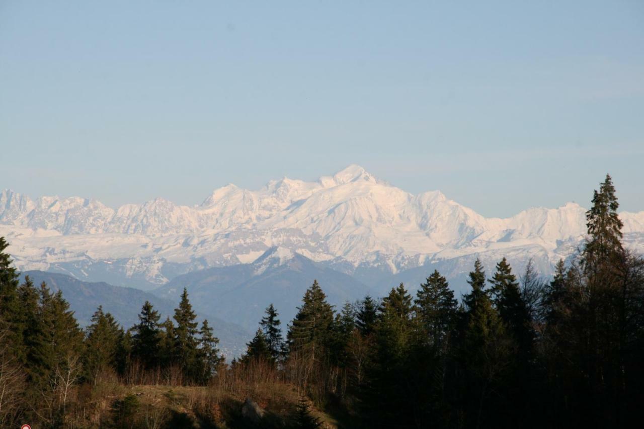 Au Coeur Du Lapidaire Septmoncel-Les-Molunes Exteriör bild