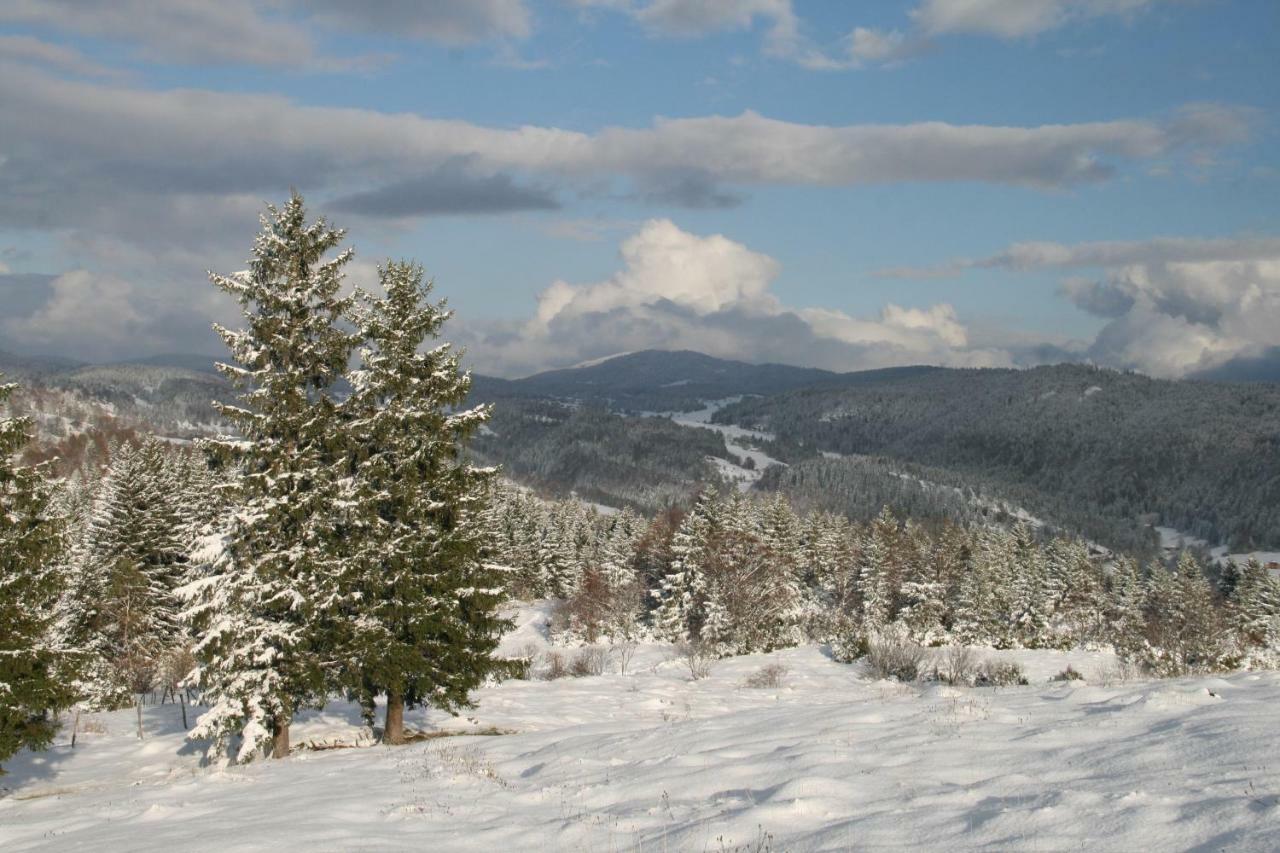 Au Coeur Du Lapidaire Septmoncel-Les-Molunes Exteriör bild