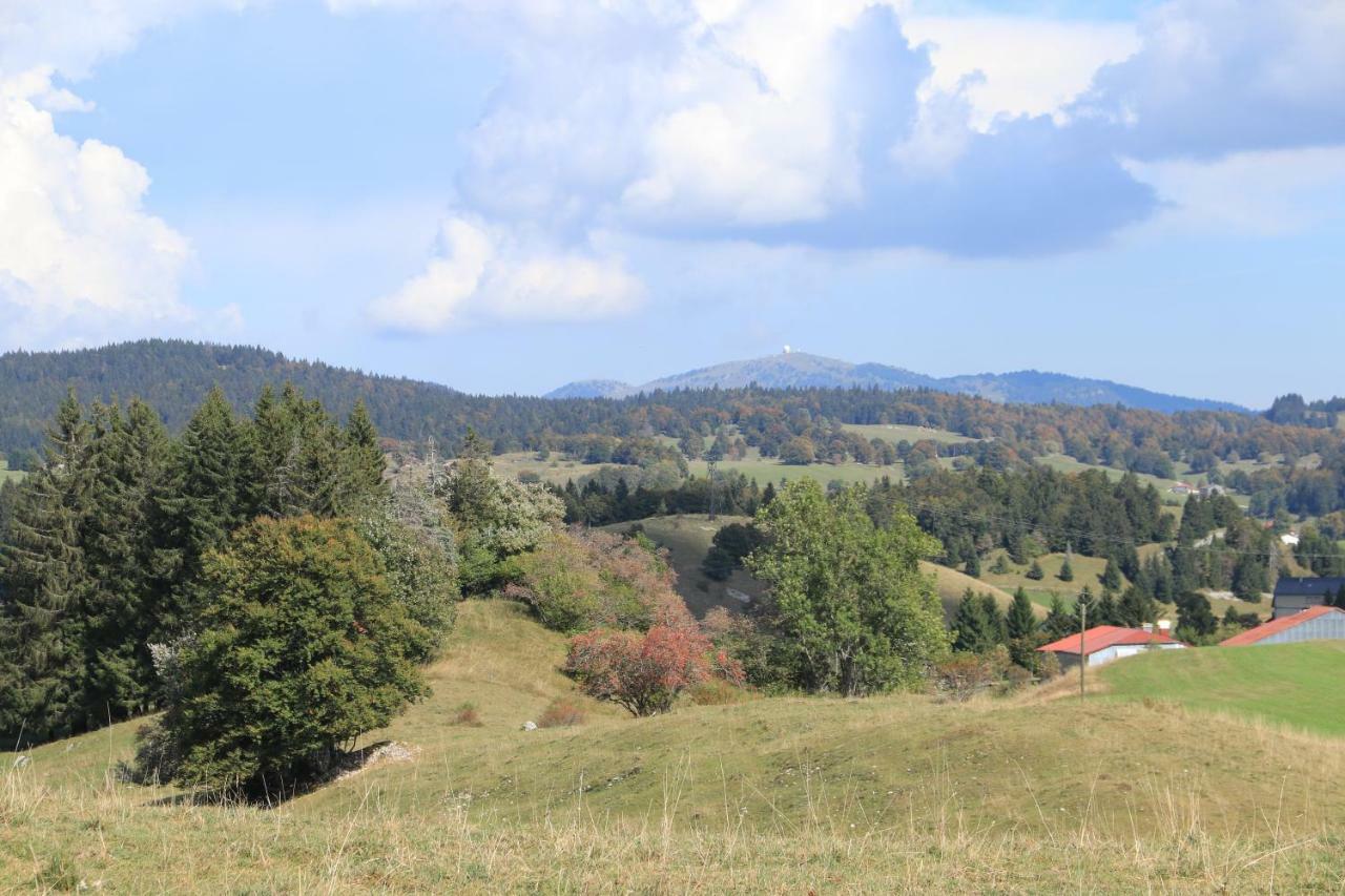 Au Coeur Du Lapidaire Septmoncel-Les-Molunes Exteriör bild