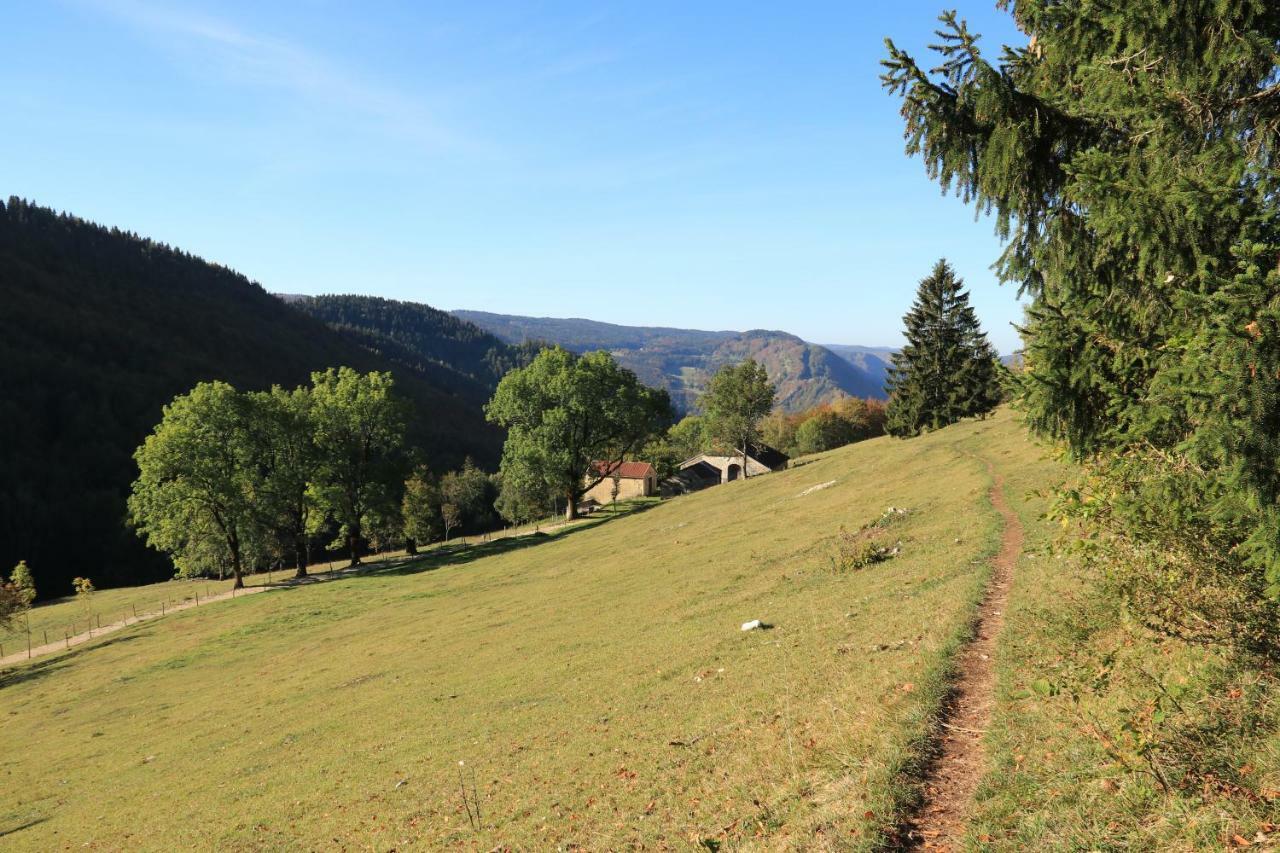 Au Coeur Du Lapidaire Septmoncel-Les-Molunes Exteriör bild