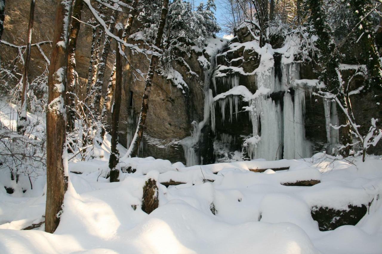 Au Coeur Du Lapidaire Septmoncel-Les-Molunes Exteriör bild