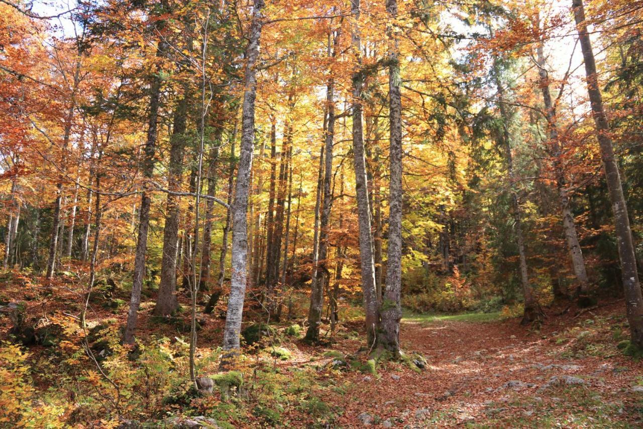 Au Coeur Du Lapidaire Septmoncel-Les-Molunes Exteriör bild