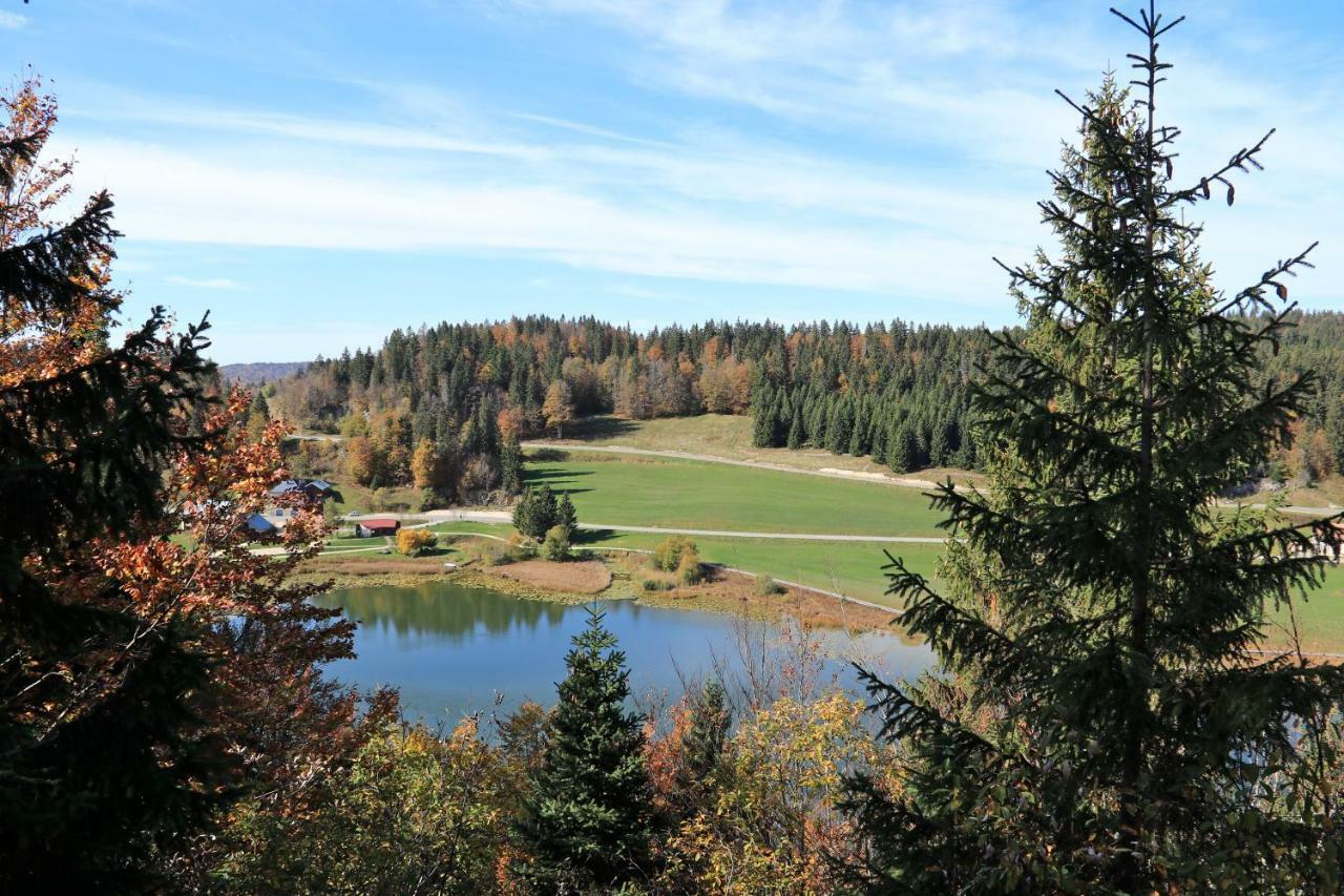 Au Coeur Du Lapidaire Septmoncel-Les-Molunes Exteriör bild