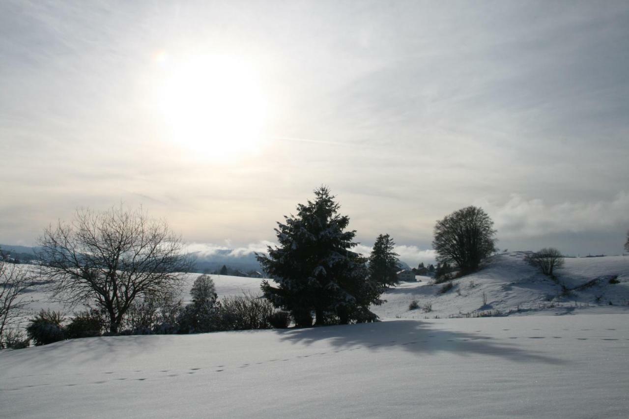 Au Coeur Du Lapidaire Septmoncel-Les-Molunes Exteriör bild