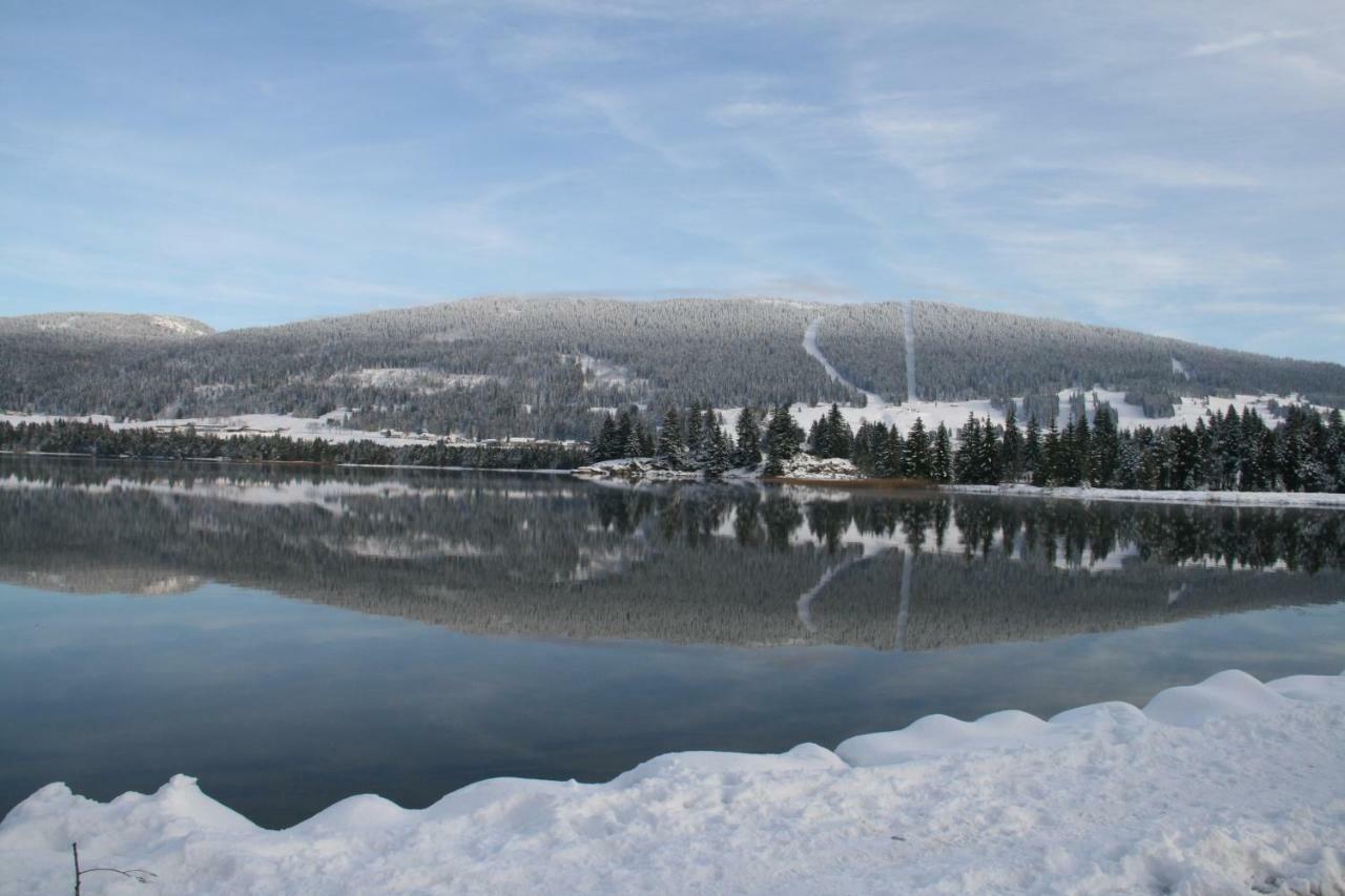 Au Coeur Du Lapidaire Septmoncel-Les-Molunes Exteriör bild
