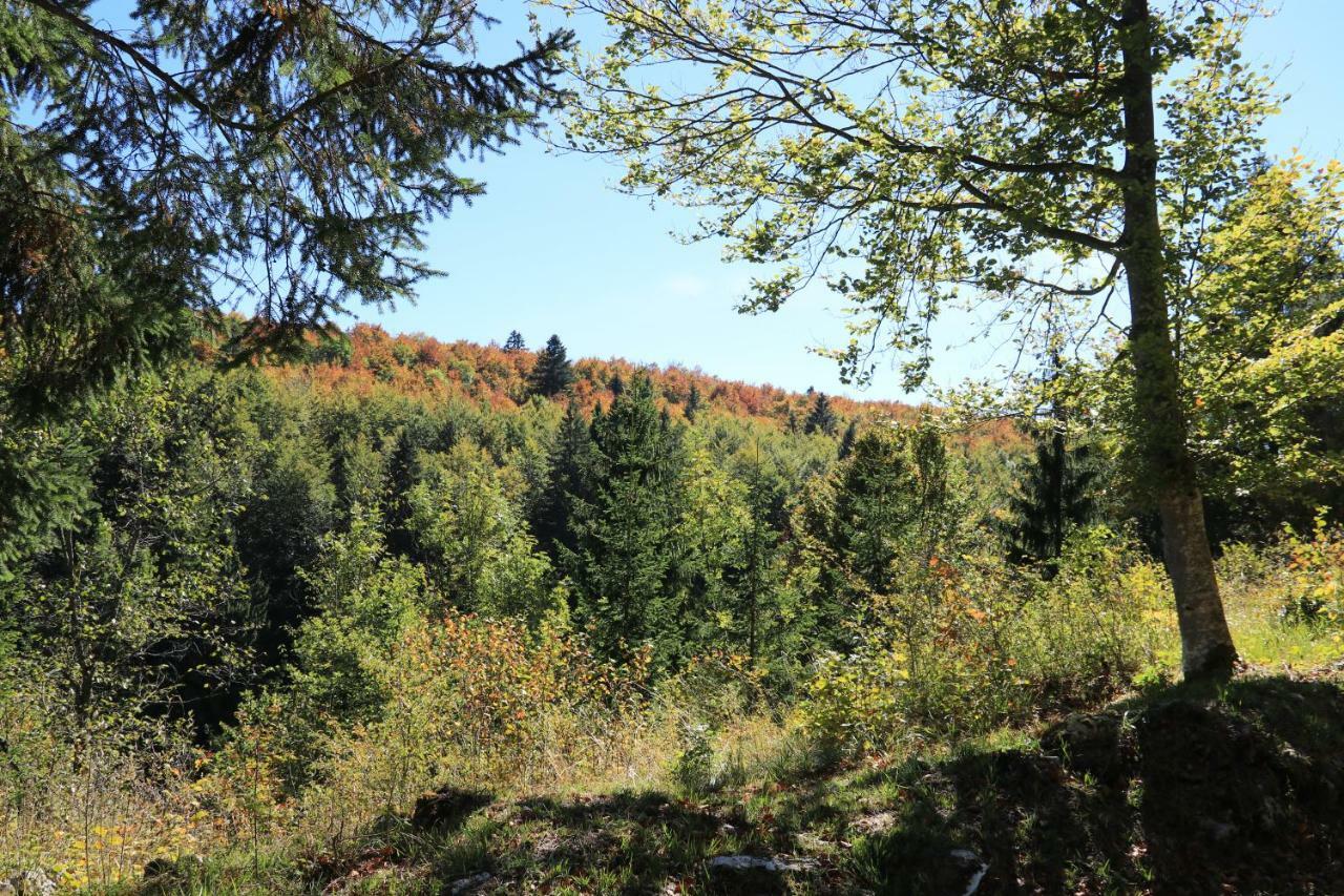 Au Coeur Du Lapidaire Septmoncel-Les-Molunes Exteriör bild